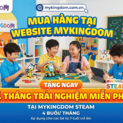 trai-nghiem-mykingdom-steam-khi-mua-hang